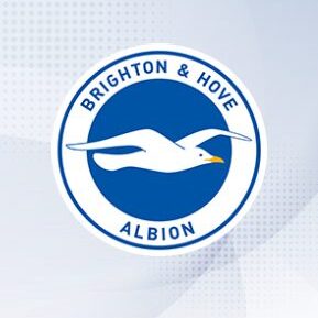 Brighton & Hove Albion - use our unique platform to swap Panini 2024/2025 duplicates