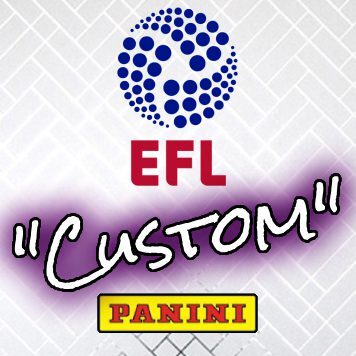 Panini EFL 2025 Custom Swap Package