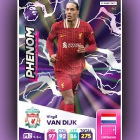 Phenom Virgil Van Dijk