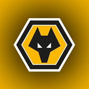 Wolverhampton Wanderers - use our unique platform to swap Panini 2024/2025 duplicates